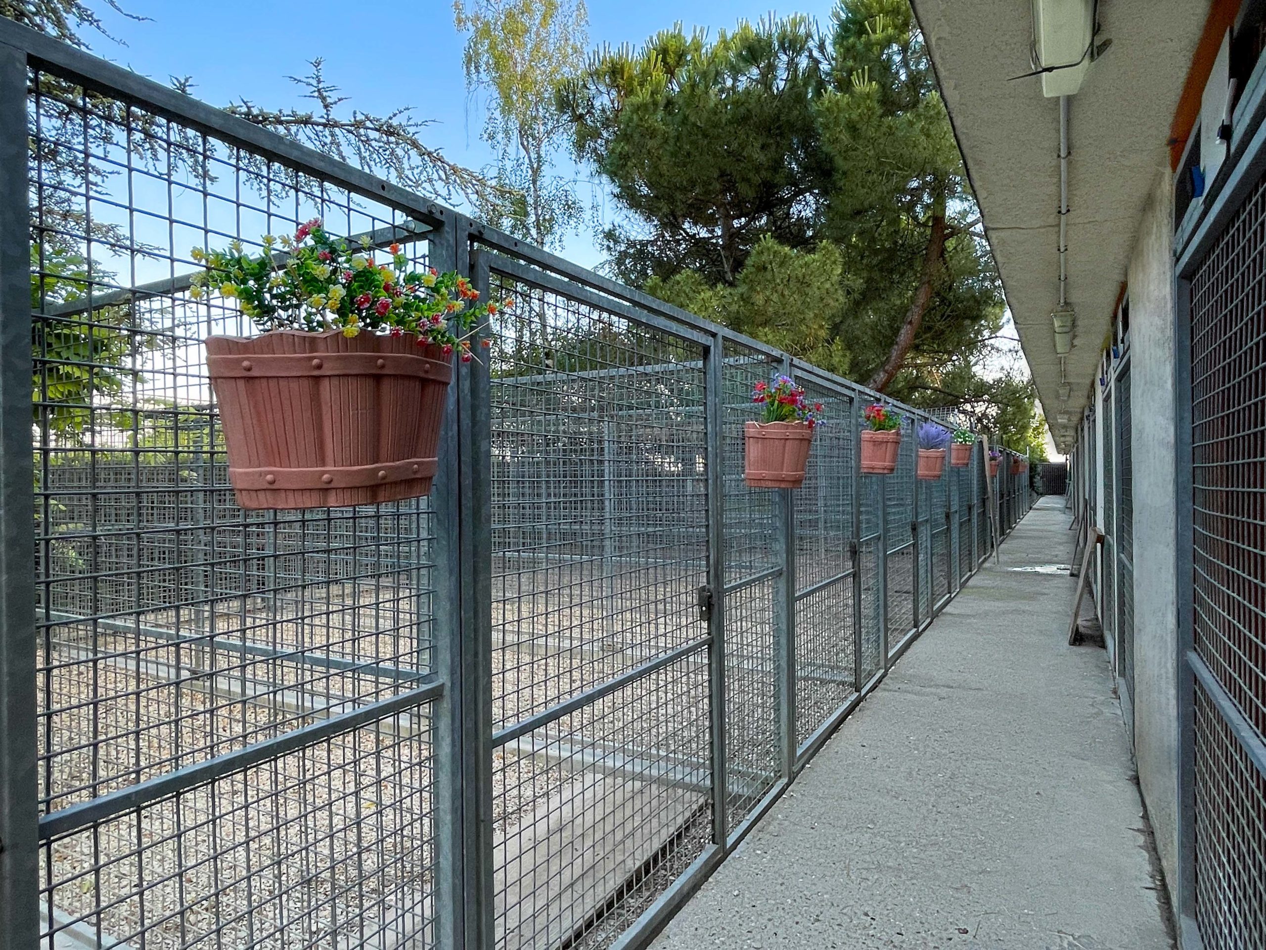 kennels2mb Pension Pour Tous